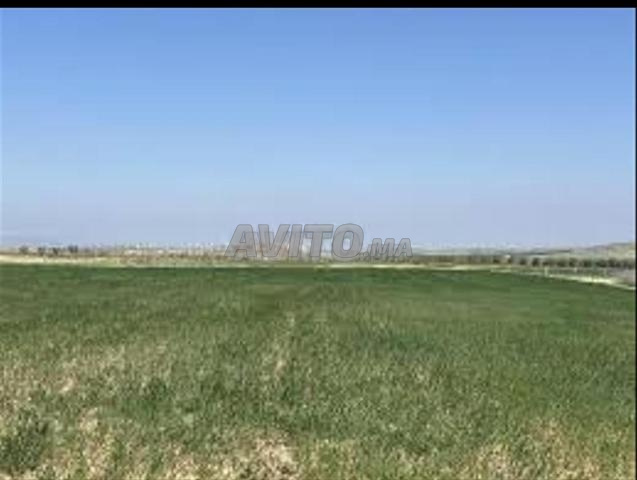 أرض فلاحية محفظة للبيع - 2