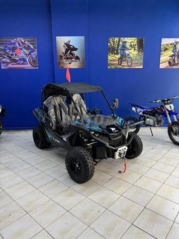 ATV LPR Buggy RX200R