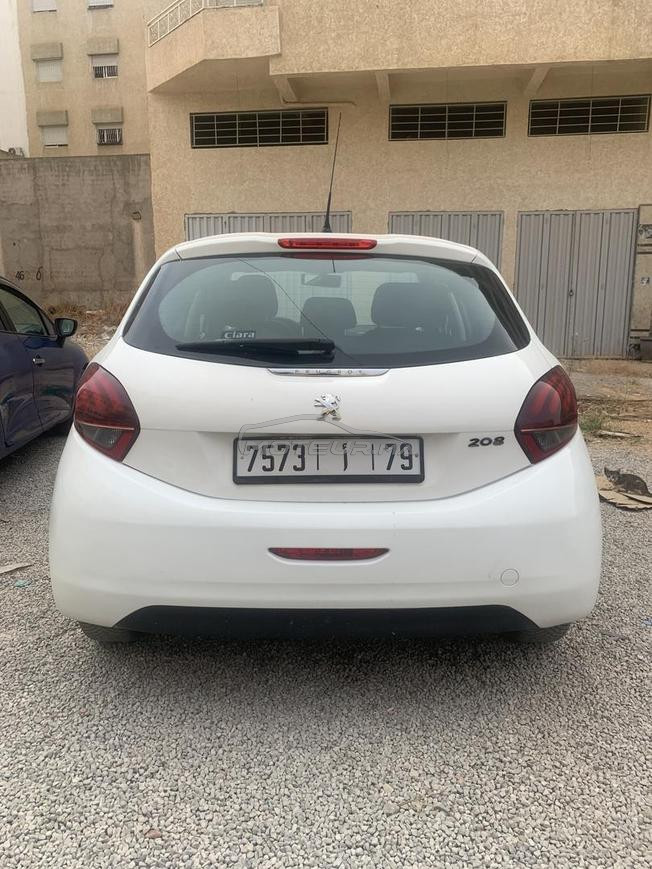 فاس سايس طريق صفرو