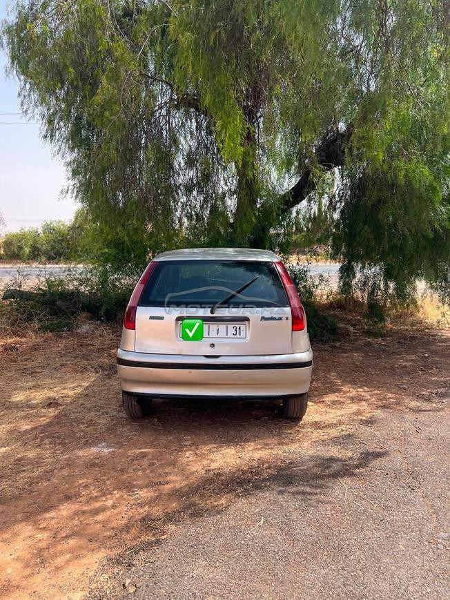 fiat punto