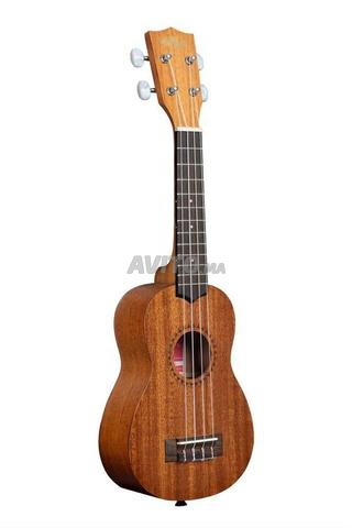 Ukulélé à vendre