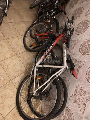 Vélo adulte - 2