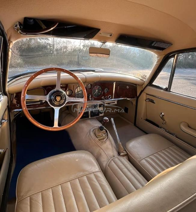 Jaguar XK 