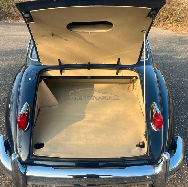 Jaguar XK 