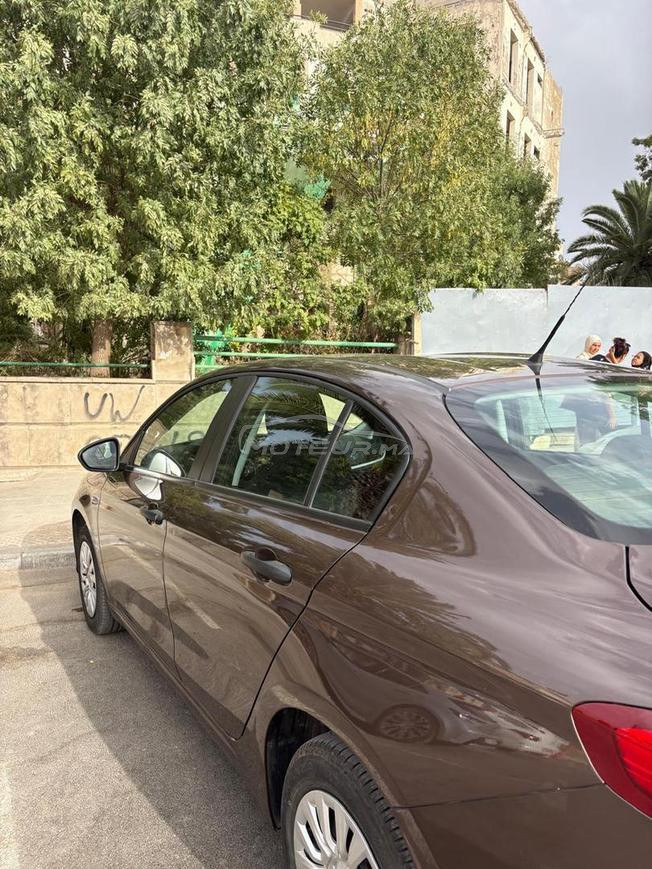 تازة القدس ١ رقم 30