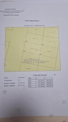 Excellent terrain zone villa - 2