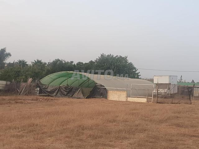Terrain et ferme agricole à vendre