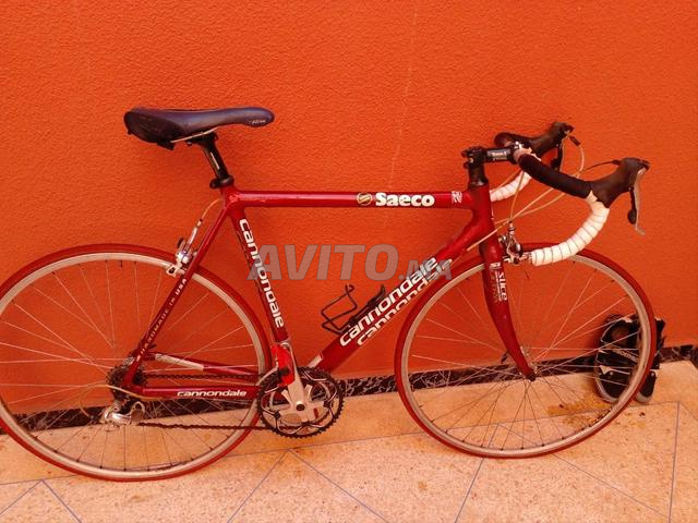 Cannondale CAAD5 Saeco - Handmade in USA - 2
