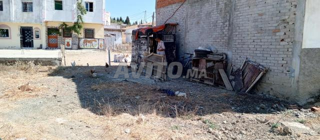 حي الطيفي قريب من الحكامية وشركة رونو - 2