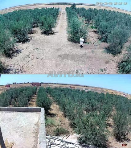 مزرعة للبيع