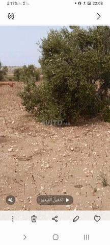 سيدي اسحاق الصويرة - 2
