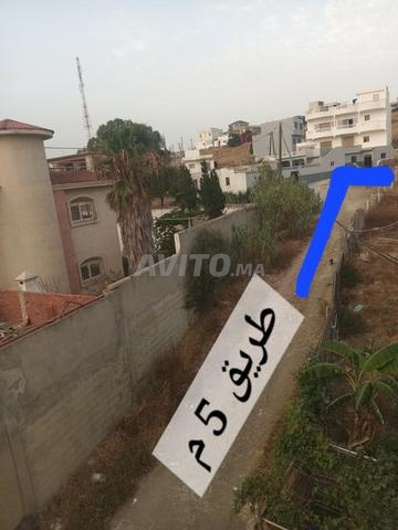 شراء سيارة طنجة - 2