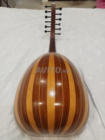 عود للبيع