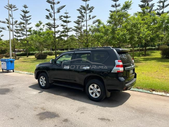 prado tx toyota