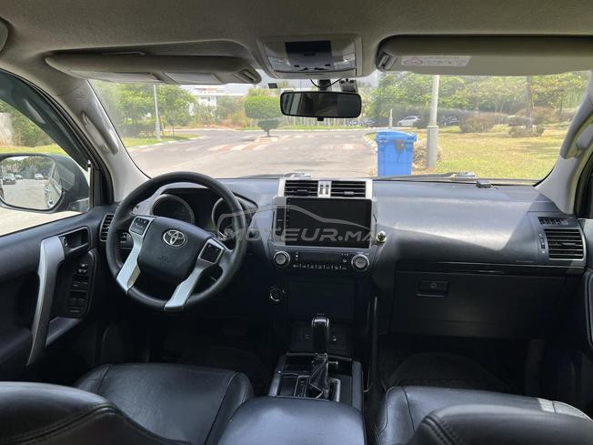 prado tx toyota