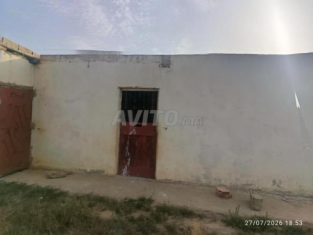 أرض 3156 متر مجهزة ومحفظة، منزل وبئر في عين الجوهرة