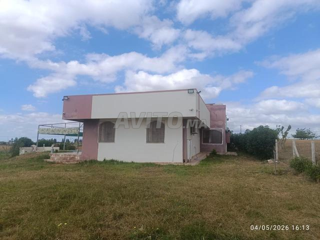 Ferme titrée Ain Jouhara 2700 m² villa et piscine