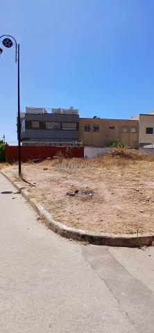 Terrain à vendre lotissement Palmier Nouaceur - 2
