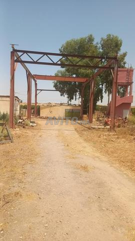 رافعة علوية 5 طن - 2