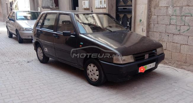 fiat uno fiat 