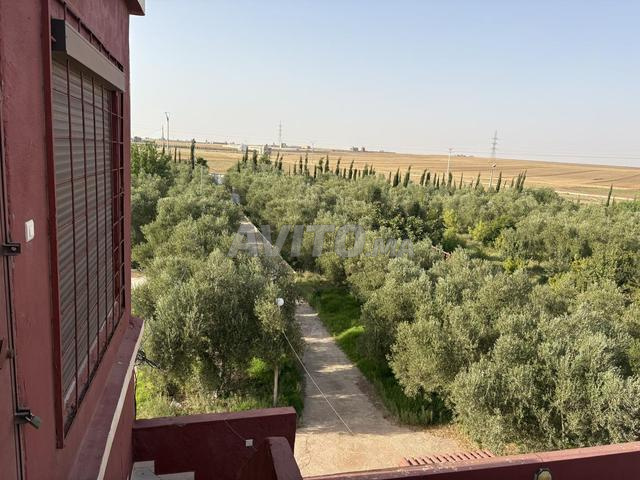 أرض كبيرة للبيع بثمن مناسب - 2