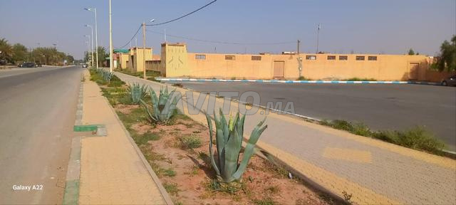 أرض استثمارية - 2