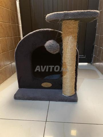 Maison pour Chat 3-en-1 - 2