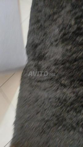 Tapis propre 3/160 - 2