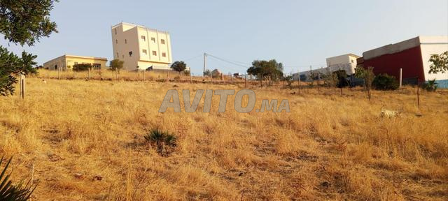 Terrain 1065m² à vendre - أرض للبيع بواد أليان