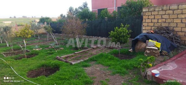مزرعة صغيرة للبيع بأولاد حمدان - 2