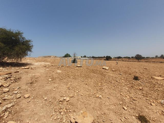 Grande terre de 6500 m² - 2