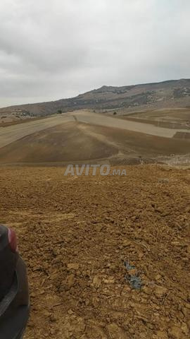 Terrain Agricole 3 Hectares Tirs Ksar El Kebir