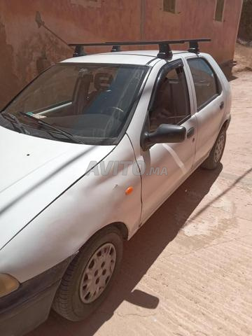 Palio à vendre - 2