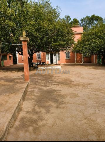 Ferme titrée à vendre Bouskoura Casablanca 2.98 hectares