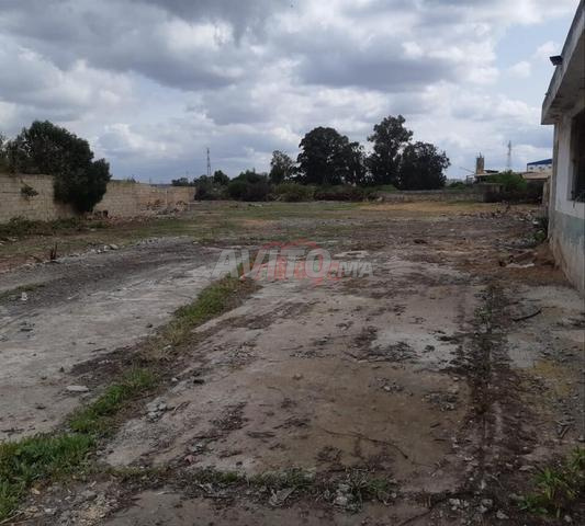 Vente Terrain nu à Bouskoura