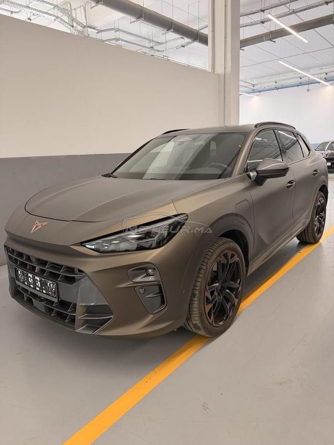 Teramar Cupra VZ a fes