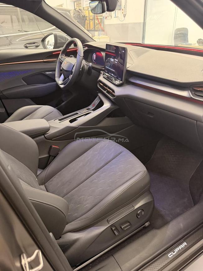 Teramar Cupra VZ a fes