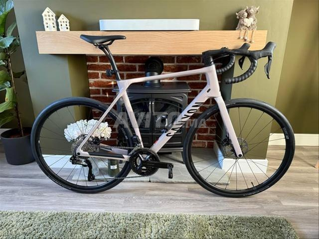 CANYON endurance CF7 en carbone - 2