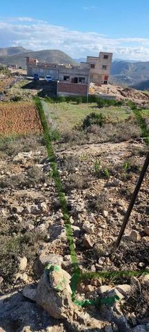 Terrain titré et constructible de 1080 m² - 2