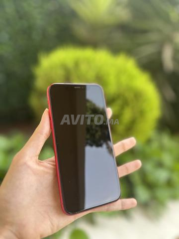 iPhone 11 édition rouge - 2