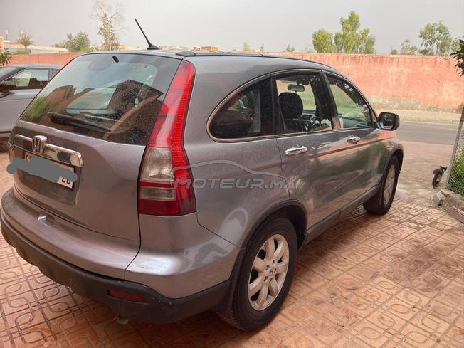 honda   CRV
