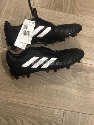 Copa gloro fg - 2
