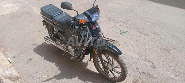 Vendre Moto DOCKER C100