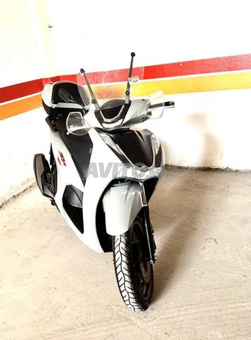 Honda 2022 - 2