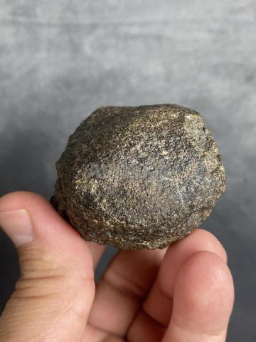 نيزك أكوندريت NWA 194 جرام نيزك - 2