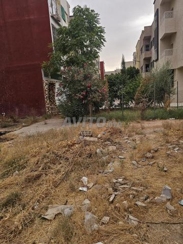 بقعة أرضية بن سودة تجزأة جواهر بها فرشتان إبوزي