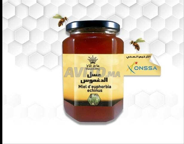 عسل الدشير أغرومعي - 2