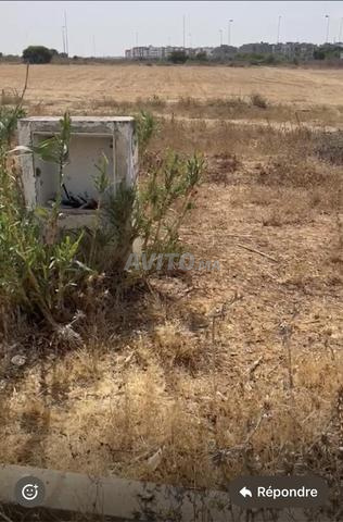 Terrain villa titré 200 m² Aïn Errouz - 2