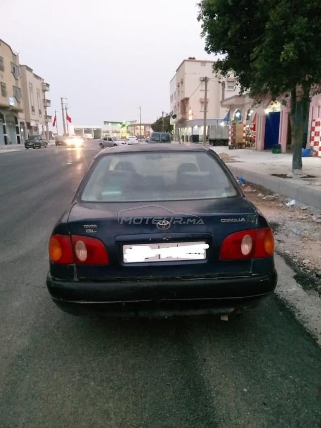 كتواجد ب حي النهضة الداخلة