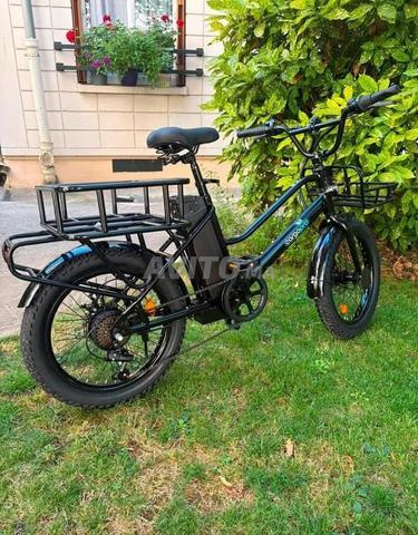 Vélo cargo électrique - 2